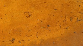 01_progettazione_024.JPG